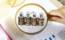 Doanh nghiệp do con gái tỷ phú Trần Bá Dương làm phó TGĐ hút về 2.200 tỷ đồng