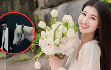 Bức ảnh gây chú ý của Minh Hoàng trước thềm ngày cưới Phương Nhi