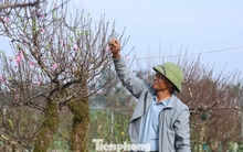 Nghề 'đánh cược' với ông trời