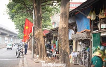 Phố Cầu Mới thông thoáng bất ngờ sau khi 'xóa sổ' chợ tự phát