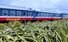 Đề xuất đầu tư để cải tạo đường sắt Hà Nội - TP. Hồ Chí Minh