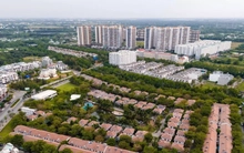 TPHCM: Đẩy nhanh cấp sổ hồng cho dự án có số lượng nhà ở xã hội lớn