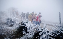 Miền Bắc đón đợt không khí lạnh cường độ mạnh, bỏ túi ngay 8 "thần dược" giữ ấm cơ thể cực tốt