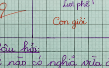 Từ nào trong tiếng Việt vừa ăn ngon, vừa đánh đau? - HSG Quốc gia cũng không biết!