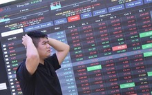 Một cổ phiếu chứng khoán khớp lệnh kỷ lục, hơn 7% công ty "đổi chủ" sau công bố BCTC quý 4