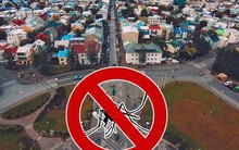 Một quốc gia không có bất kỳ con muỗi nào