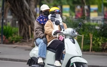 Miền  Bắc rét  đỉnh  điểm