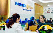 BAOVIET Bank năm 2025: Củng cố nền tảng tăng trưởng