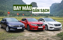 Khắc nghiệt 'đào thải' sedan cỡ D ở Việt Nam: Chưa đầy 10 năm, 7 xe bị khai tử, Toyota Camry trước cơ hội độc tôn trong phân khúc