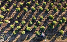 Thế giới bước vào kỷ nguyên “phá sản nguồn nước”