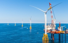 Giao gần 64.000 ha biển cho 2 tập đoàn lớn khảo sát làm điện gió ngoài khơi