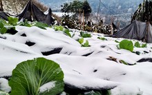 Không phải người cao tuổi, đây mới là nhóm người phải chịu rủi ro âm thầm khi trời rét đậm, rét hại