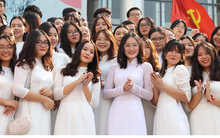 Top 20 ngôi trường THPT xuất sắc nhất kỳ thi Học sinh Giỏi quốc gia 2025 - 2026