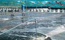 Không phải đất hiếm, Mỹ, Trung Quốc đang đua nhau săn một kho báu của Việt Nam: Nước ta là ông lớn đứng thứ 3 thế giới, xuất khẩu lập đỉnh 4,5 tỷ USD