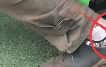 5 năm trôi qua, bức ảnh họp phụ huynh này vẫn gây tranh cãi