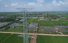 Việt Nam có một lĩnh vực đứng đầu ASEAN