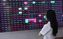 Chứng khoán giảm điểm, nhóm ngành nào có triển vọng đầu tư?