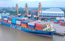 Lãnh đạo Xếp dỡ Hải An không mua hết 1 triệu cổ phiếu HAH đã đăng ký