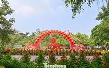 Tận thấy công viên đầu tiên được xây trên 'đất vàng' bỏ hoang ở TPHCM