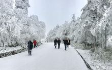 Khách Việt bị cấm mặc áo hoa lên núi khi du lịch Trung Quốc, nghe lý do xong không ai dám trái lời