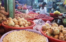 Doanh nghiệp, hộ kinh doanh không phải khai, nộp phí môn bài từ 2026