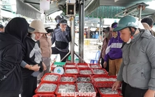 Ngư dân miền Trung trúng 'lộc' mực nháy dịp áp Tết