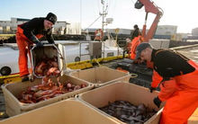 Nga đón tin vui từ Hàn Quốc