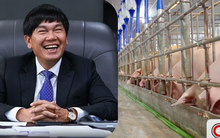 Đàn heo của tỷ phú Trần Đình Long xuất chuồng hơn 660.000 con năm 2025