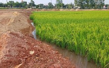 Người dân “lên thổ cư” cho đất lúa bị trả hồ sơ, Bộ NN&MT trả lời
