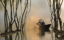 Lập kỷ lục chưa từng có, mặt hàng Việt Nam khiến Trung Quốc thích mê, ồ ạt thu mua