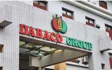Dabaco báo lãi 2025 trên 1.500 tỷ, tăng gấp đôi năm ngoái dù lợi nhuận quý 4/2025 giảm 38%