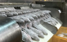 Không phải sầu riêng hay đất hiếm, một kho báu của Việt Nam được Mỹ liên tục săn lùng: Xuất khẩu tăng 499%, nước ta có lợi thế về thuế