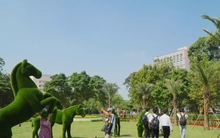 'Đất vàng' bỏ hoang giữa trung tâm TPHCM thành công viên đông vui dịp Tết