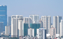 Có 30 địa phương hoàn thành việc xử lý cơ sở nhà, đất dôi dư