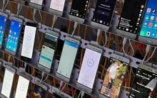 'Kiếm' hơn 50 tỷ đồng từ hàng trăm người nhờ 'chăm' xem livestream, 11 thanh niên bị công an bắt giữ