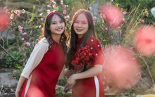 Lịch nghỉ Tết Nguyên đán Bính Ngọ 2026 có gì khác năm ngoái?