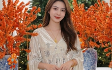 Tết đừng chỉ chơi đào, hãy thử cắm bình đào đông "cam Hermès": Màu của giàu sang và bí kíp "3 không" giúp quả căng mọng cả tháng không rụng