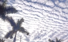 Giải mã hiện tượng ‘lưới mây’ bao phủ bầu trời TP.HCM