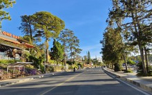 Cảnh tượng khó tin tại Đà Lạt trong dịp Tết dương lịch