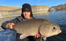 Sống hơn một thế kỷ, không lão hóa và nghịch lý sinh tồn của loài cá cổ đại Bắc Mỹ đang bị lãng quên