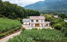 Gia đình 5 người dân phố dắt nhau về ngoại ô, mua đất trên đồi xây “vườn cổ tích”, 2 năm sau tán gia bại sản: Cái giá thật của giấc mơ dưỡng già