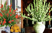 5 loại hoa NÊN trưng bàn thờ Tết: Giữ cát khí, tụ phúc lành, đón lộc đầu năm