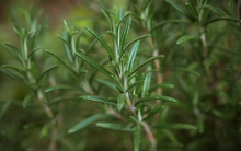 Chuyên gia Mỹ tiết lộ 6 loại thực phẩm chống lão hóa, giúp bạn trông trẻ hơn 2 tuổi, giảm 2kg trong 8 tuần!