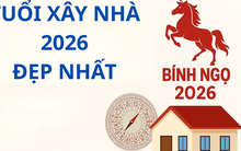 Năm Bính Ngọ 2026 gia chủ tuổi nào làm nhà dễ phát tài, an cư lâu dài?