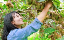 Lớn rồi mới biết: Người dạy tôi cách giàu lên không phải thầy tài chính, mà là mẹ tôi ở quê