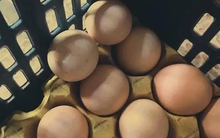 Ra chợ mua trứng gặp 3 loại này, ngon rẻ mấy cũng đừng mua