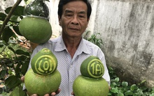 Thị trường Tết không còn mặn mà với trái cây "độc, lạ"?