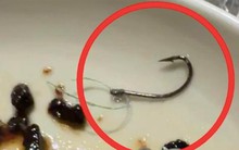 Gắp miếng cá, “trúng” lưỡi câu: Nhà hàng Michelin miễn hóa đơn 22 triệu, khách vẫn lạnh sống lưng