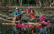 Du lịch Việt Nam: Cột mốc 20 triệu khách quốc tế và tầm vóc quốc gia