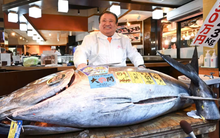 Cận cảnh con cá ngừ giá 83 tỷ đồng: Khi các đại gia Nhật Bản "so găng" từng đồng lẻ